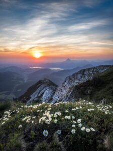 Momentsmountainflowerslandscape1913px | Harmony Mindful Breakthrough Specialists Moments mountain flowers landscape 1913px