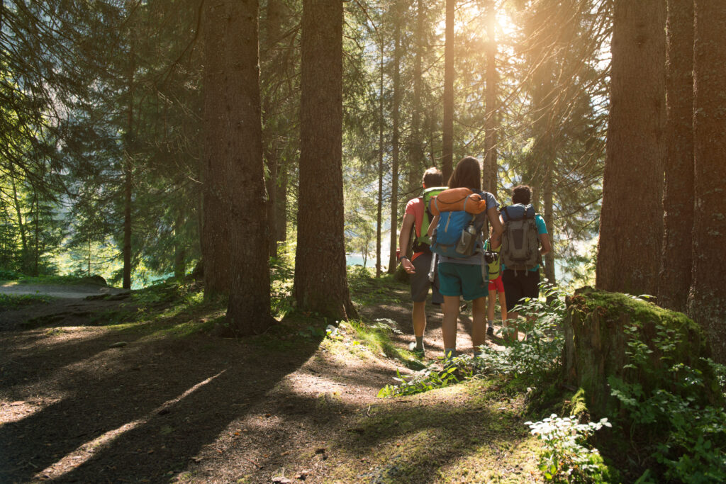 Hikers on a Sunlit Forest Trail | Harmony Mindful Breakthrough Specialists Hikers on a Sunlit Forest Trail