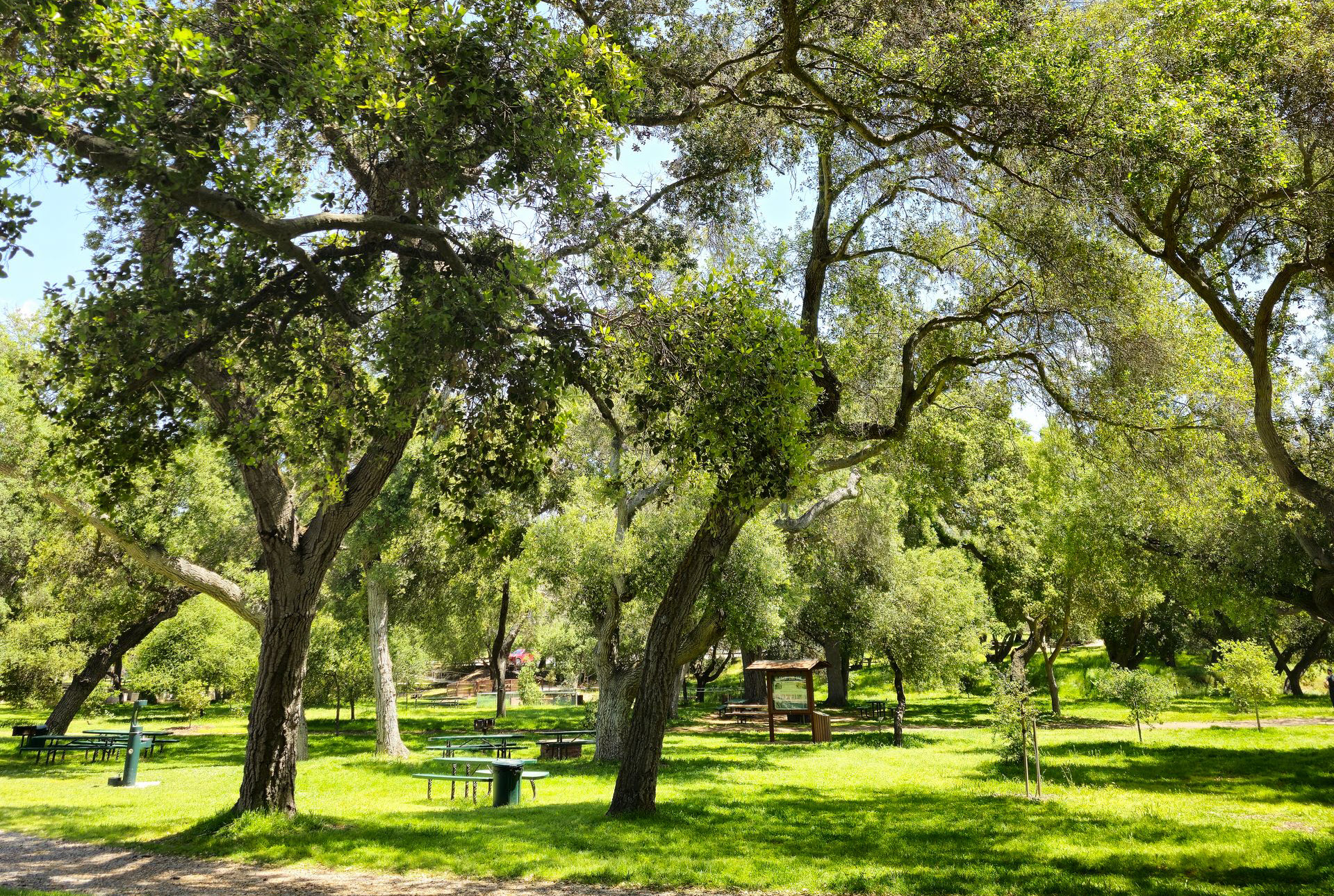 Grassy park in Oak Park, California, with picnic tables beneath mature trees