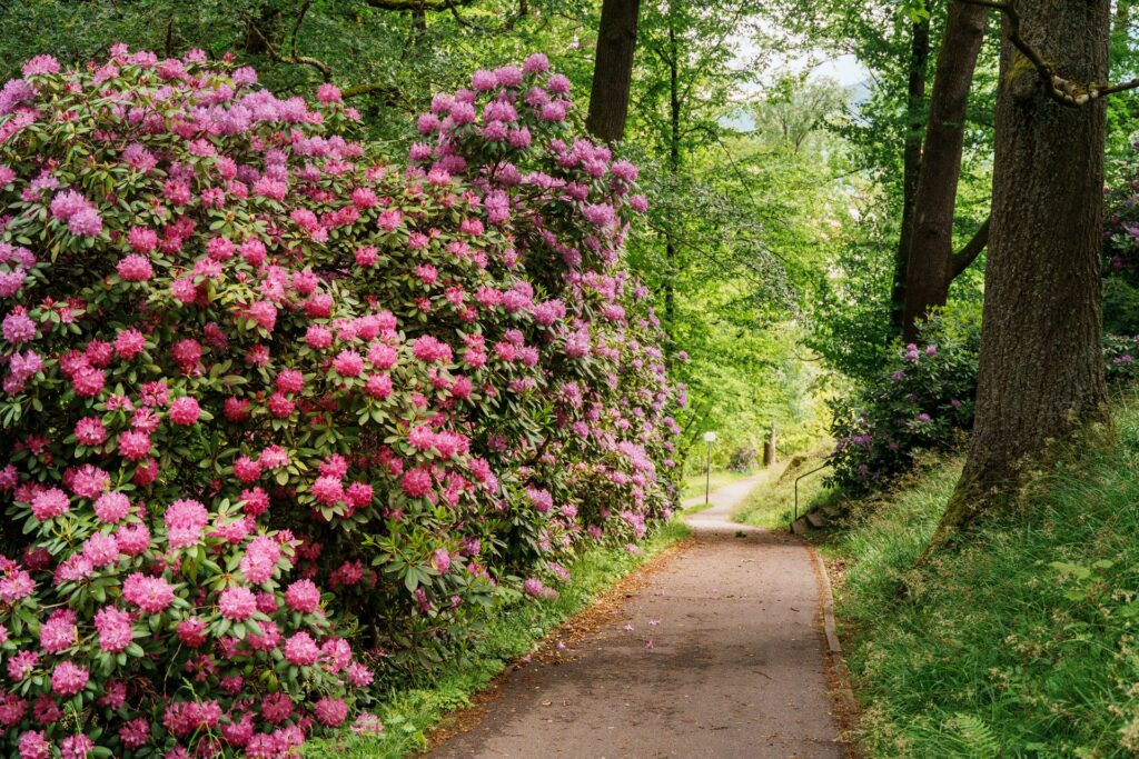 Finding a More Sustainable Path to High Performance | Harmony Mindful Breakthrough Specialists Finding a More Sustainable Path to High Performance