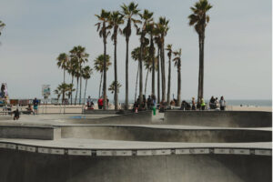 Venice Beach Skatepark with palm trees and the Pacific Ocean in the background